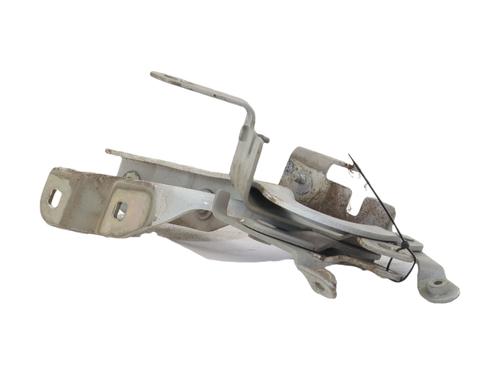 hingedoor-check-strap-renault-clio-iv-bh_-2012-2013-2014-2015-2016-2017-2018-2019-2020-2021-39165182 main image