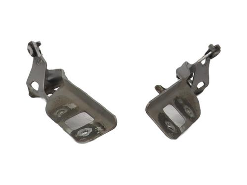 Hinge/Door check strap HONDA CIVIC VIII Hatchback (FN, FK) 2.2 CTDi (FK3) | BP31114112C146 