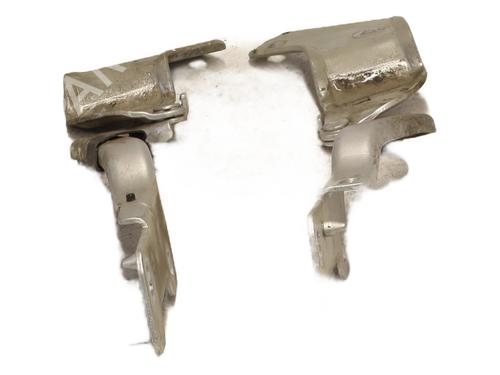 Used Hinge/Door check strap Hinge/Door check strap RENAULT CLIO III (BR0/1, CR0/1) 1.6 16V (BR09, BR0T, CR09, CR0T) (88 hp) 30870586 30870586