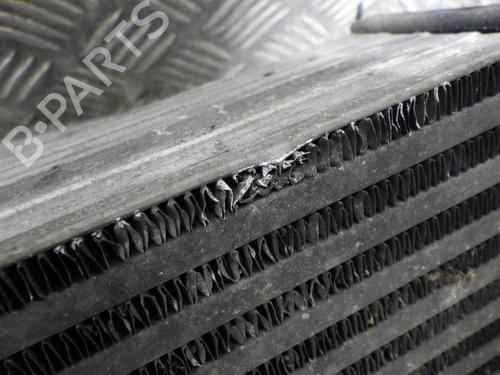 Used Intercooler Intercooler CITROËN C3 II (SC_) 1.6 HDi (92 hp) 24259774 24259774