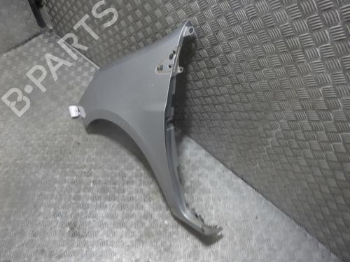 Left front fenders RENAULT CLIO III (BR0/1, CR0/1) 1.4 16V | BP27932832C41 