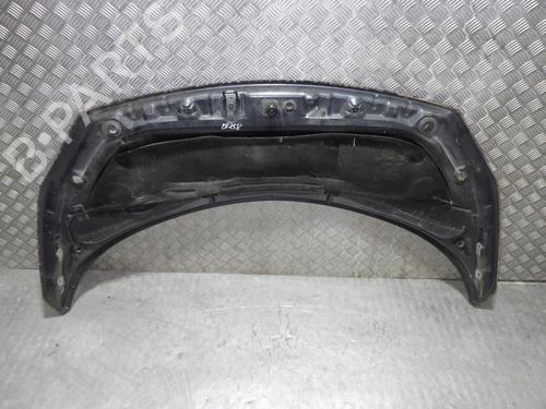 Hood RENAULT GRAND SCÉNIC II (JM0/1_) 1.9 dCi (JM14) | BP24259836C1 