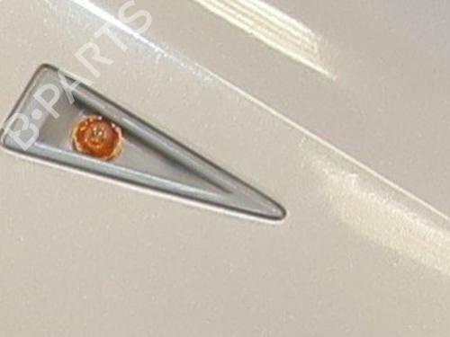 right-front-fenders-renault-scenic-ii-jm01_-2003-2004-2005-2006-2007-2008-2009-2010-36647967 main image