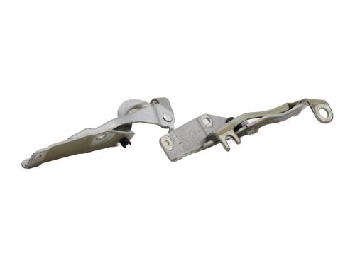 hingedoor-check-strap-citroen-c3-picasso-sh_-2008-32403722 main image