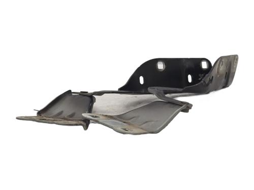 Hinge/Door check strap RENAULT TWINGO II (CN0_) 1.5 dCi (CN0E) | BP31833174C146