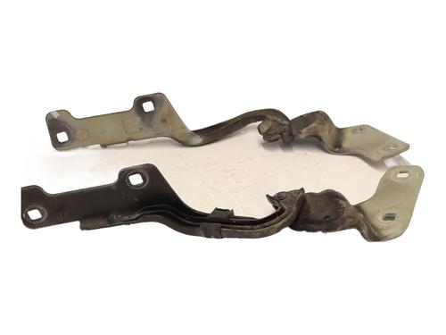 Hinge/Door check strap RENAULT CLIO III (BR0/1, CR0/1) 1.5 dCi (C/BR0G, C/BR1G) | BP28496961C146