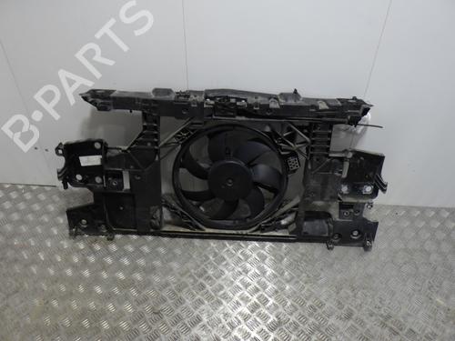 Frontplate/Frontkurv RENAULT MEGANE III Coupe (DZ0/1_) 2.0 TCe (DZ0K) (180 hp) 29864486