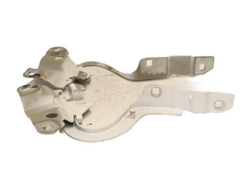 Hinge/Door check strap RENAULT ZOE (BFM_) ZOE (BFMC, BFMD) | BP28060293C146 