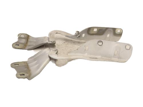 Hinge/Door check strap RENAULT TWINGO II (CN0_) 1.2 16V (CN04, CN0B) | BP28357422C146 