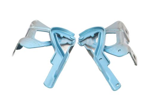 hingedoor-check-strap-renault-clio-v-b7_-2019-32471527 main image