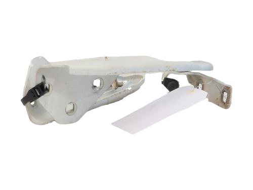 Hinge/Door check strap DACIA DUSTER (HM_) 1.5 dCi 115 (HMAD) | BP39214113C146 - Image 3