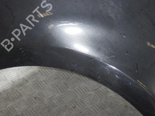 Right front fenders RENAULT CLIO III (BR0/1, CR0/1) 1.5 dCi (C/BR0G, C/BR1G) | BP28493992C42