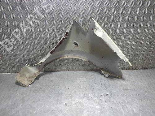 Left front fenders CITROËN C3 Pluriel (HB_) 1.4 HDi | BP24256634C41 