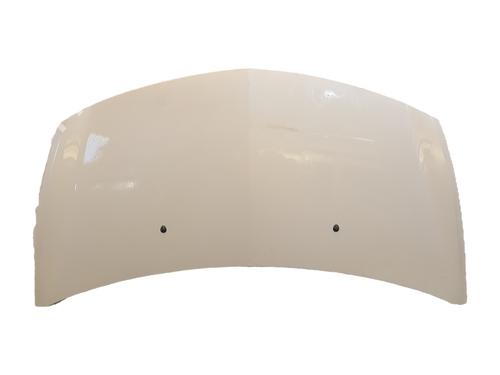 Capot Capot RENAULT CLIO III (BR0/1, CR0/1) 1.5 dCi (BR0H, CR0H, CR1S, BR1S) (106 hp) 37165142 37165142