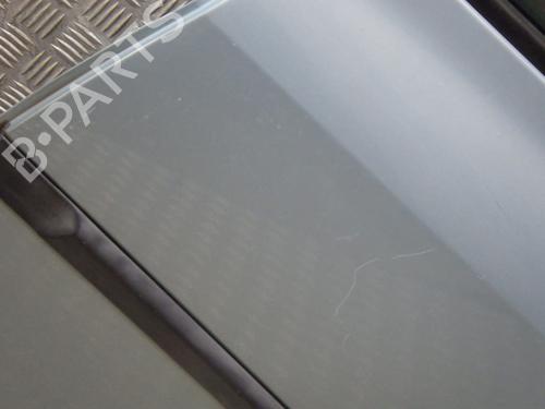 Left rear door RENAULT CLIO III (BR0/1, CR0/1) 1.5 dCi (BR17, CR17) | BP28319623C4 