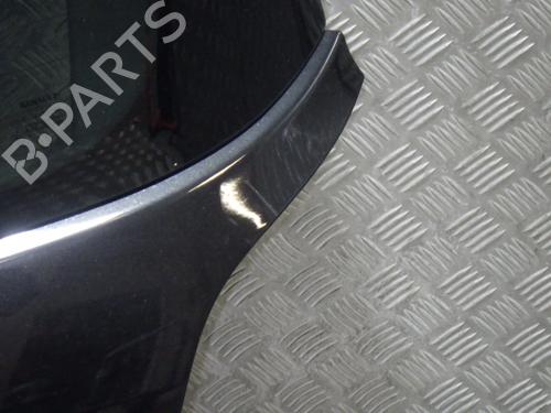 Tailgate RENAULT CLIO III (BR0/1, CR0/1) 1.5 dCi (C/BR0G, C/BR1G) | BP28493994C6 