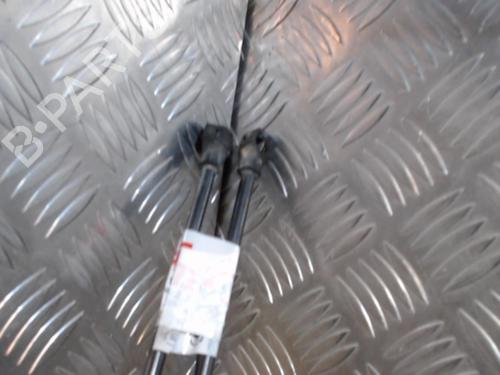 Used Hood lift support RENAULT KANGOO Express (FW0/1_) 1.5 dCi 90 (FW0G, FW05, FW08, FW11) (90 hp) 24265879
