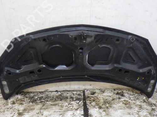 hood-renault-twingo-ii-cn0_-2007-32504873 main image