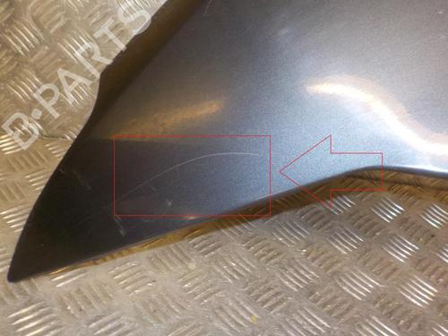 Left front fenders FORD C-MAX (DM2) 1.8 TDCi | BP24268720C41 