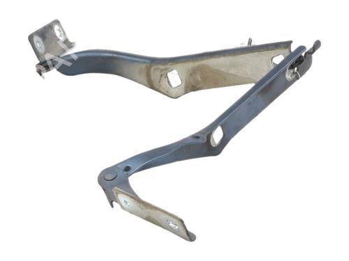 hingedoor-check-strap-citroen-berlingo-multispace-b9-2008-36427793 main image
