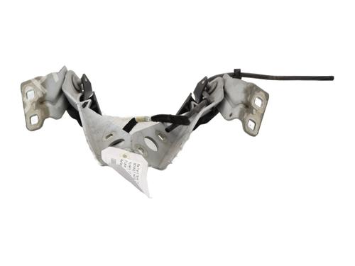 Bisagra/Limitador de puerta RENAULT MASTER III Van (FV) 2.3 dCi 100 FWD (FV0A, FV0B, FV0G, FV0K, FV0H) 654010006R