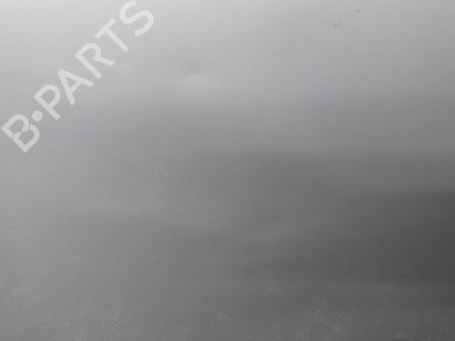 Right front door NISSAN QASHQAI / QASHQAI +2 I (J10, NJ10, JJ10E) 1.5 dCi | BP24274841C3 
