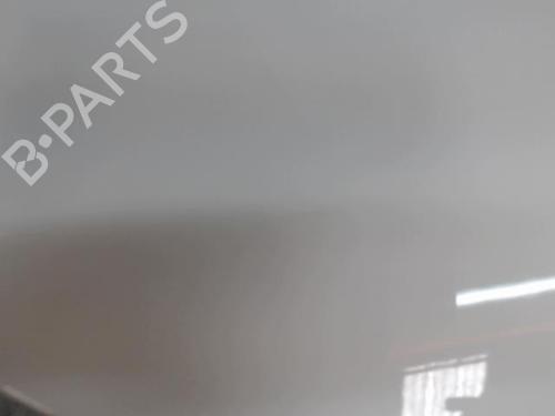 Left front fenders CITROËN C4 Picasso I MPV (UD_) 1.6 HDi 110 | BP29187935C41 