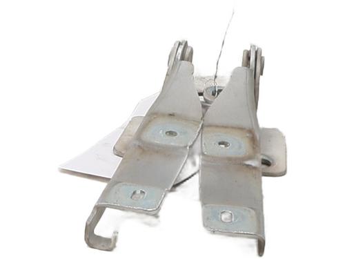 hingedoor-check-strap-citroen-c3-ii-sc_-2009-31762338 main image