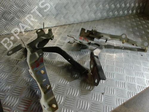 Hinge/Door check strap RENAULT CLIO IV (BH_) 1.5 dCi 75 | BP24264388C146 