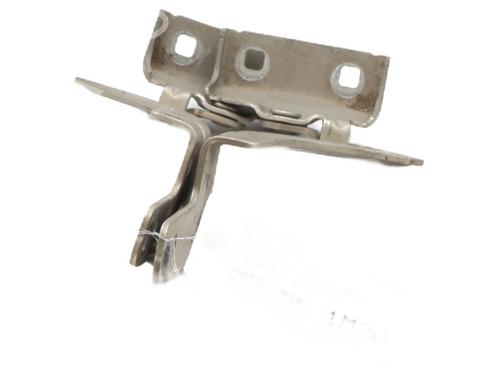 Used Hinge/Door check strap Hinge/Door check strap RENAULT MODUS / GRAND MODUS (F/JP0_) 1.5 dCi (FP0D, JP0D) (82 hp) 31974460 31974460