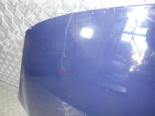 Capot Capot RENAULT SCÉNIC III (JZ0/1_) 1.5 dCi (110 hp) 24265605 24265605