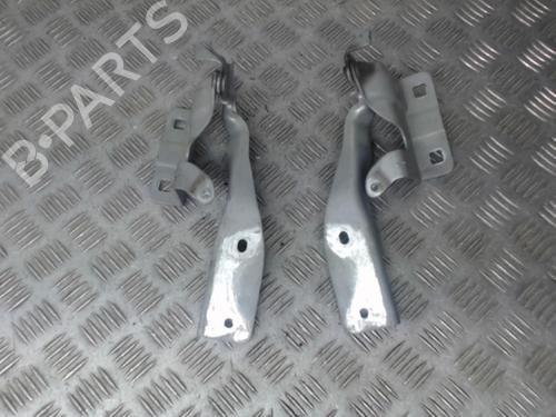 Hinge/Door check strap RENAULT KOLEOS I (HY_) 2.0 dCi 4x4 (HY0K) | BP24273972C146 