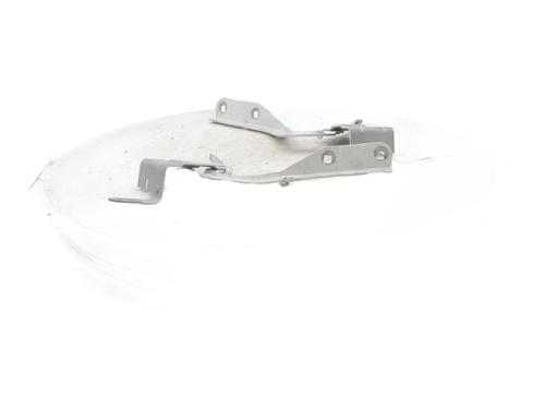 Hinge/Door check strap RENAULT CLIO IV (BH_) 1.5 dCi 90 | BP27722793C146 