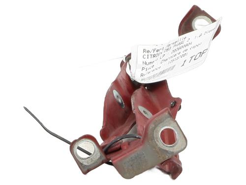 hingedoor-check-strap-citroen-ds3-sa_-2009-2010-2011-2012-2013-2014-2015-2016-34412856 main image