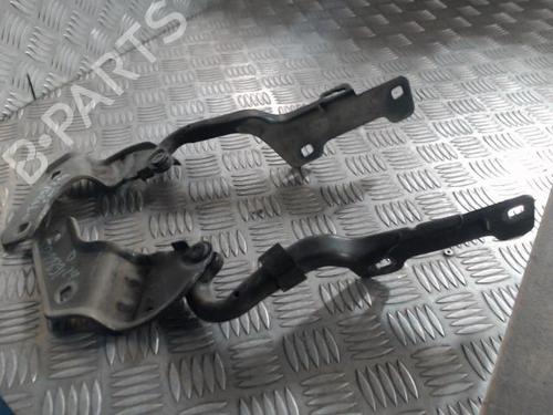 Used Hinge/Door check strap RENAULT CLIO III (BR0/1, CR0/1) 1.5 dCi (BR17, CR17) (86 hp) 24264707