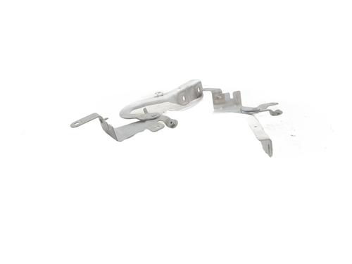 Hinge/Door check strap RENAULT CLIO IV (BH_) 1.5 dCi 90 | BP27722793C146 