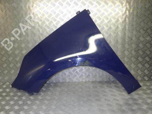 Used Left front fenders RENAULT SCÉNIC III (JZ0/1_) 1.5 dCi (110 hp) 24272868