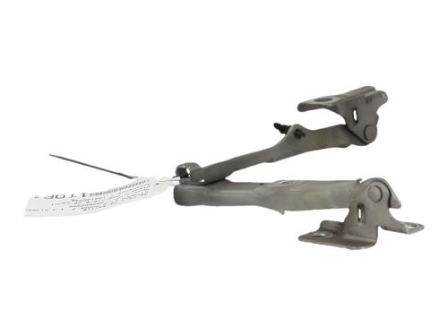 hingedoor-check-strap-citroen-c3-ii-sc_-2009-40433625 main image