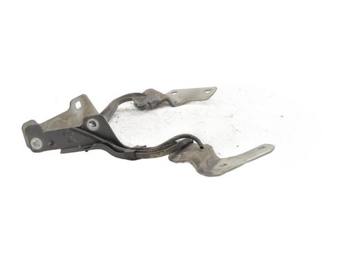 Hinge/Door check strap RENAULT CLIO III (BR0/1, CR0/1) 1.6 16V (BR09, BR0T, CR09, CR0T) | BP27677246C146 