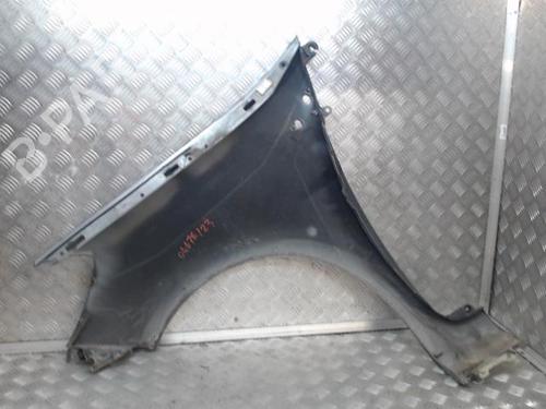 Right front fenders RENAULT CLIO III (BR0/1, CR0/1) 1.5 dCi | BP24272974C42 
