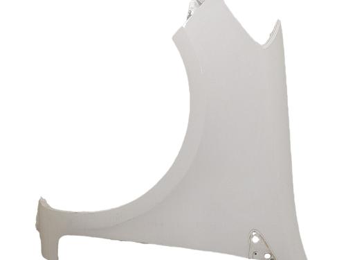 left-front-fenders-renault-clio-iii-br01-cr01-2005-2006-2007-2008-2009-2010-2011-2012-2013-2014-38081297 main image