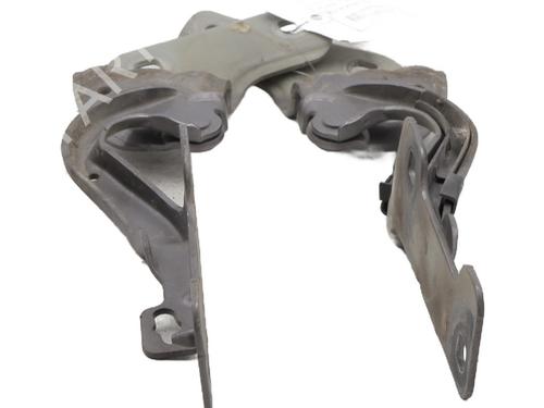 Hinge/Door check strap RENAULT CLIO III (BR0/1, CR0/1) 1.2 16V (BR0P, CR0P) | BP27596566C146 