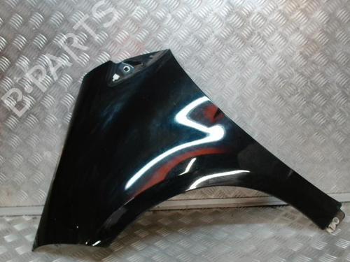 Left front fenders MERCEDES-BENZ A-CLASS (W169) A 180 CDI (169.007, 169.307) | BP24268161C41 