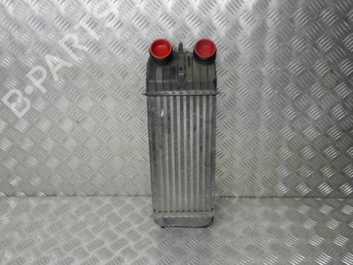Used Intercooler PEUGEOT 207 SW (WK_) 1.6 HDi (90 hp) 24282936