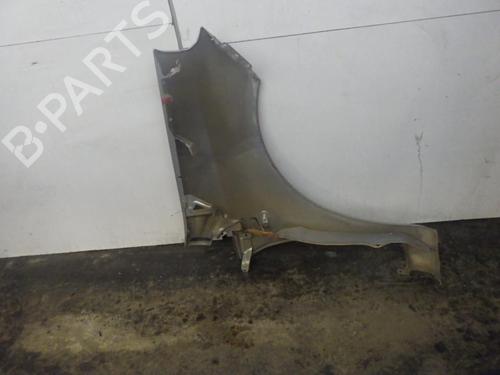 Left front fenders FIAT GRANDE PUNTO (199_) 1.3 D Multijet | BP29187934C41 