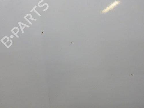 Hood RENAULT KANGOO / GRAND KANGOO II (KW0/1_) 1.5 dCi 90 (KW05, KW08, KW0G, KW11) | BP29571048C1 