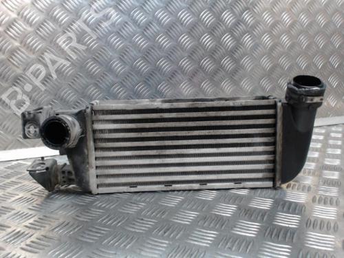 Used Intercooler FORD KA (RU8) 1.3 TDCi (75 hp) 24269837