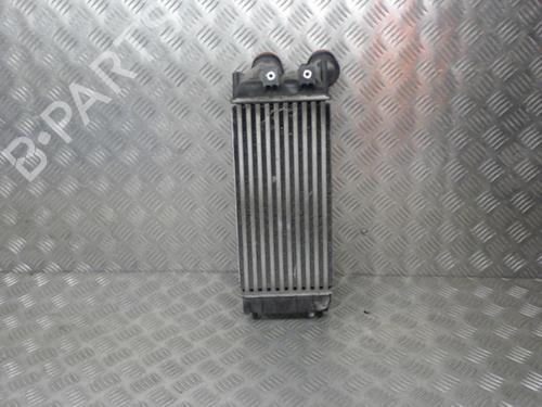 Used Intercooler Intercooler PEUGEOT 3008 I MPV (0U_) 1.6 HDi (114 hp) 24266617 24266617