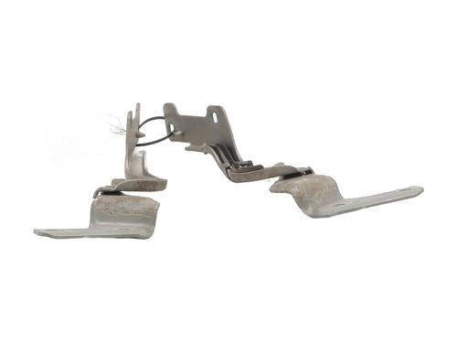 Hinge/Door check strap RENAULT CLIO III (BR0/1, CR0/1) 1.5 dCi (C/BR0G, C/BR1G) | BP27624635C146 