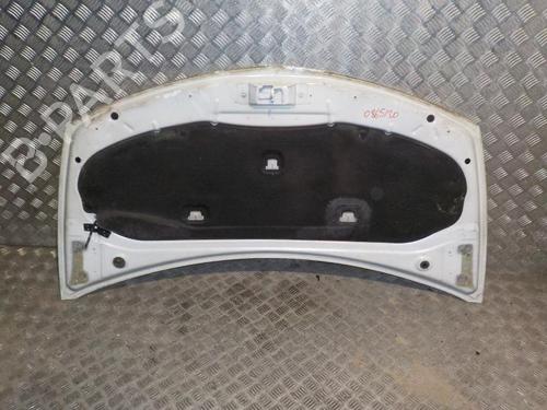 Hood RENAULT CLIO III (BR0/1, CR0/1) 1.5 dCi (C/BR0G, C/BR1G) | BP24266238C1 